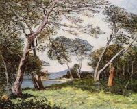 Maufra, Maxime - The Pines of the Ile St Morah